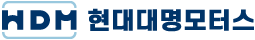 현대대명모터스 Logo