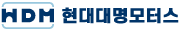 현대대명모터스 Logo